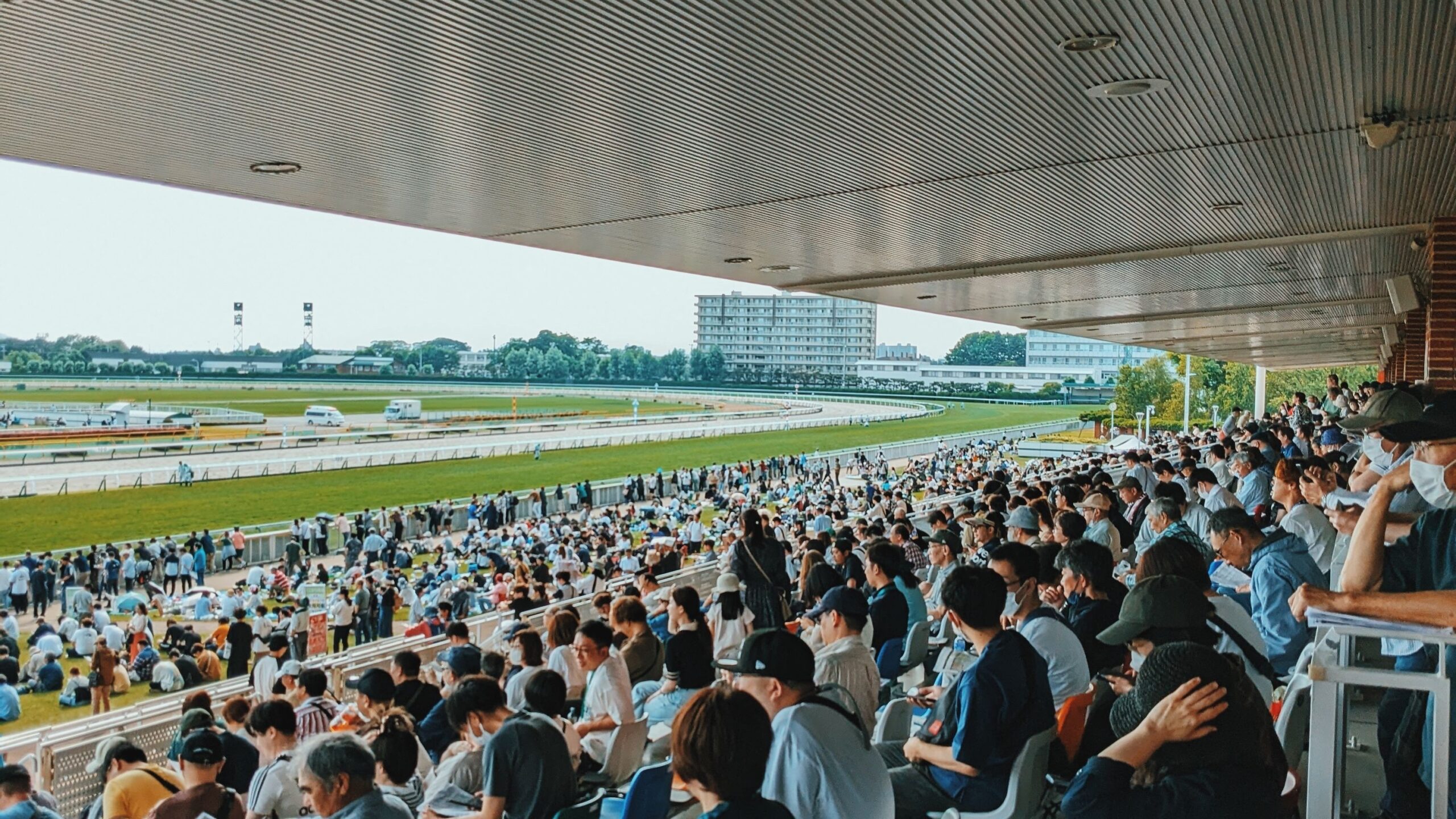 「現地観戦」の価値はなぜ高まっているのか　SNS時代の競馬場で感じる“空気感”の変化