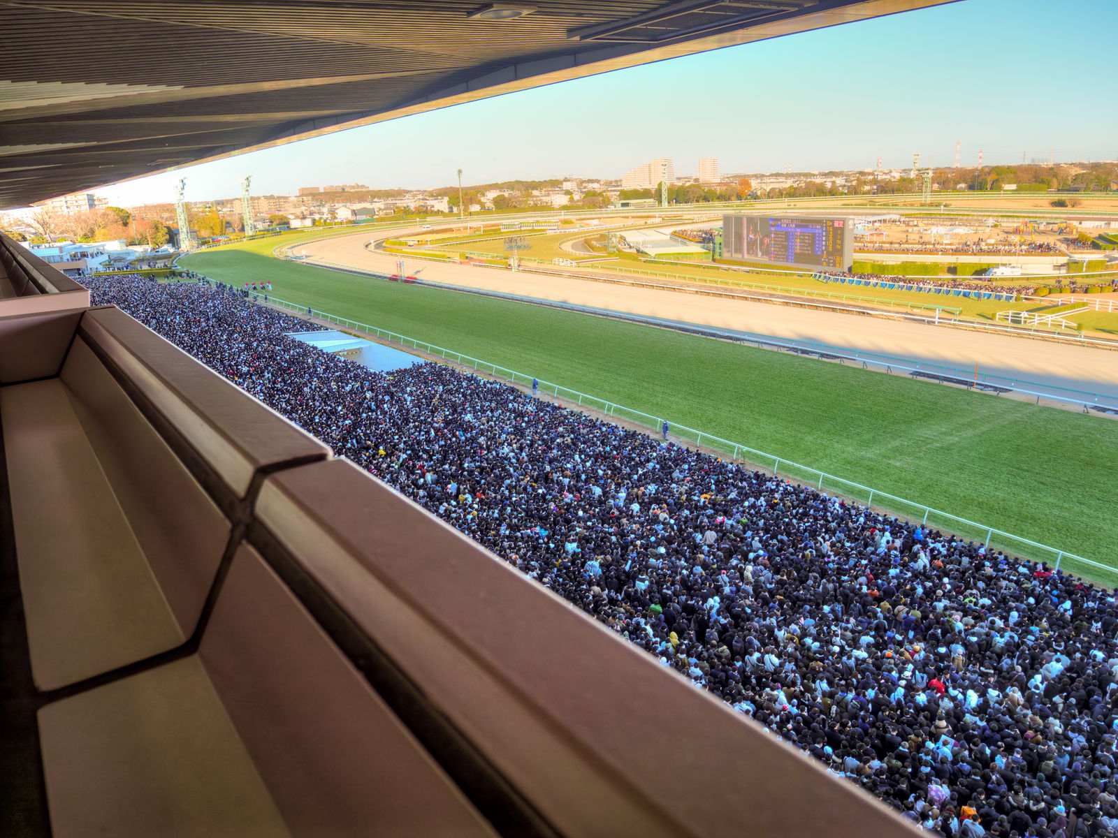 中山競馬場G-Seatから見たレース前のコース