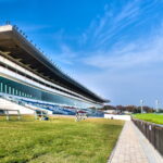中山競馬場へ初めて行く人向け完全ガイド｜アクセス・観戦場所・グルメ・持ち物【2026年版】