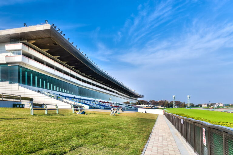 中山競馬場へ初めて行く人向け完全ガイド｜アクセス・観戦場所・グルメ・持ち物【2026年版】