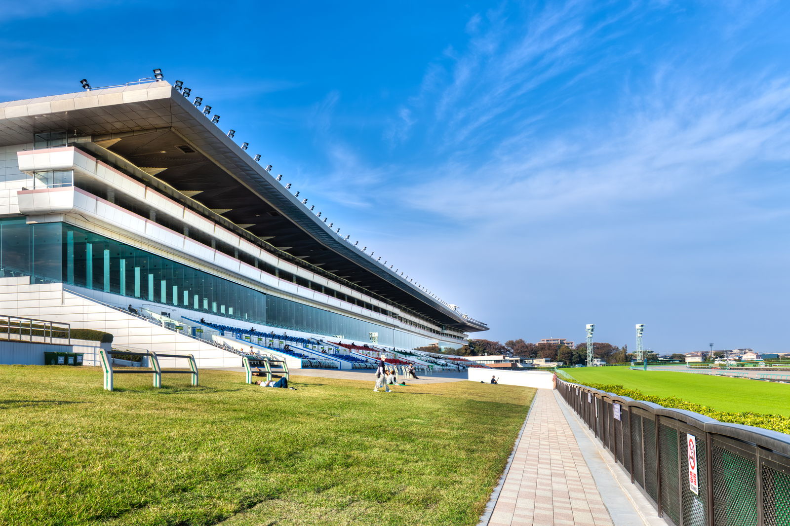 中山競馬場のスタンドとコース