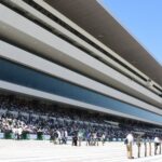 京都競馬場の座席・観戦エリアごとの見え方｜ゴールサイド・ステーションサイドを比較【2026年版】