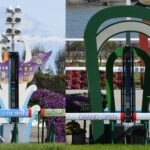 京都競馬場へ行くときの持ち物｜雨・暑さ・寒さ対策も解説【2026年版】