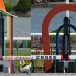 京都競馬場のおすすめ観戦場所｜初心者向けに目的別で解説【2026年版】
