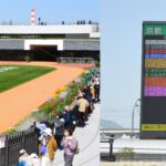 京都競馬場へ初めて行く人向け完全ガイド｜アクセス・観戦場所・グルメ・持ち物【2026年版】