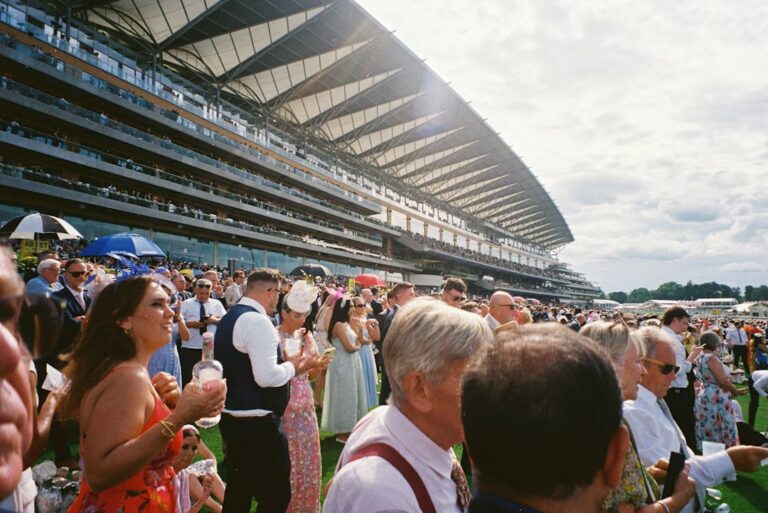 東京競馬場のおすすめ観戦場所｜初心者向けに目的別で解説【2026年版】