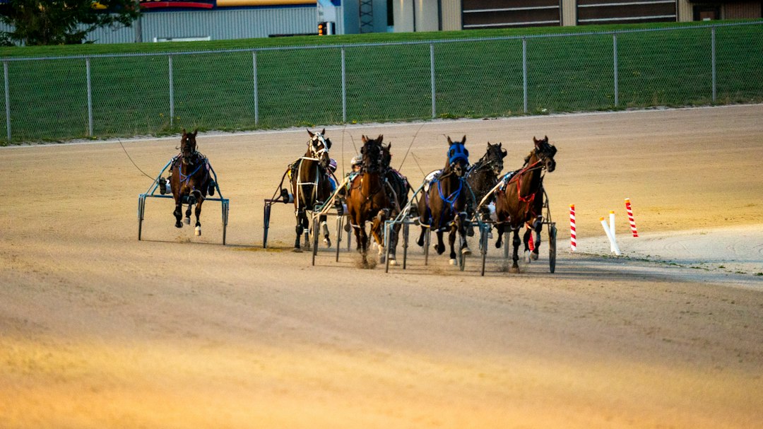 競馬場のコースを走る競走馬のイメージ