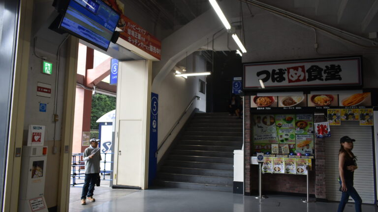 神宮球場の座席ごとの見え方を比較｜内野・外野からの見え方を解説【2026年版】