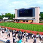 子どもと新潟競馬場へ｜ポニー体験・遊具・家族での回り方【2026年版】