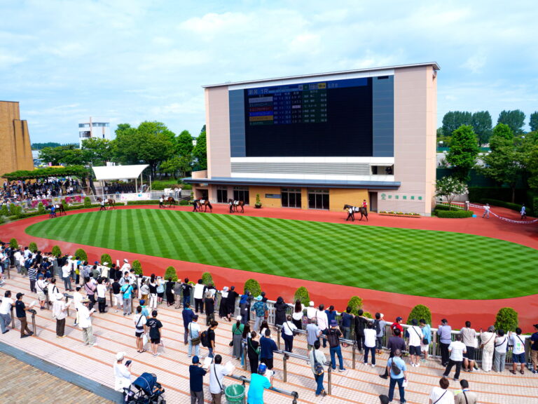 新潟競馬場の初心者ガイド｜アクセス・入場券・当日の回り方【2026年版】