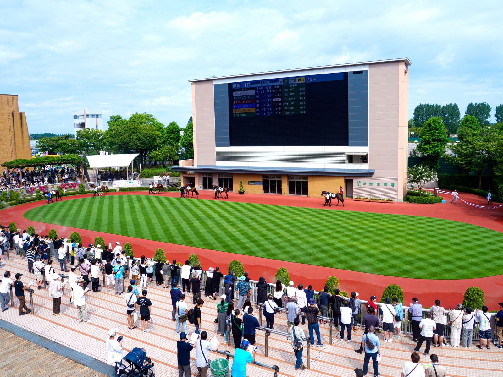 新潟競馬場のパドック。2024年7月27日撮影。