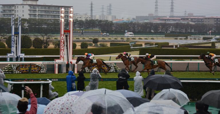 阪神競馬場の座席・観戦エリアごとの見え方｜Aシート・スマートシートを比較【2026年版】