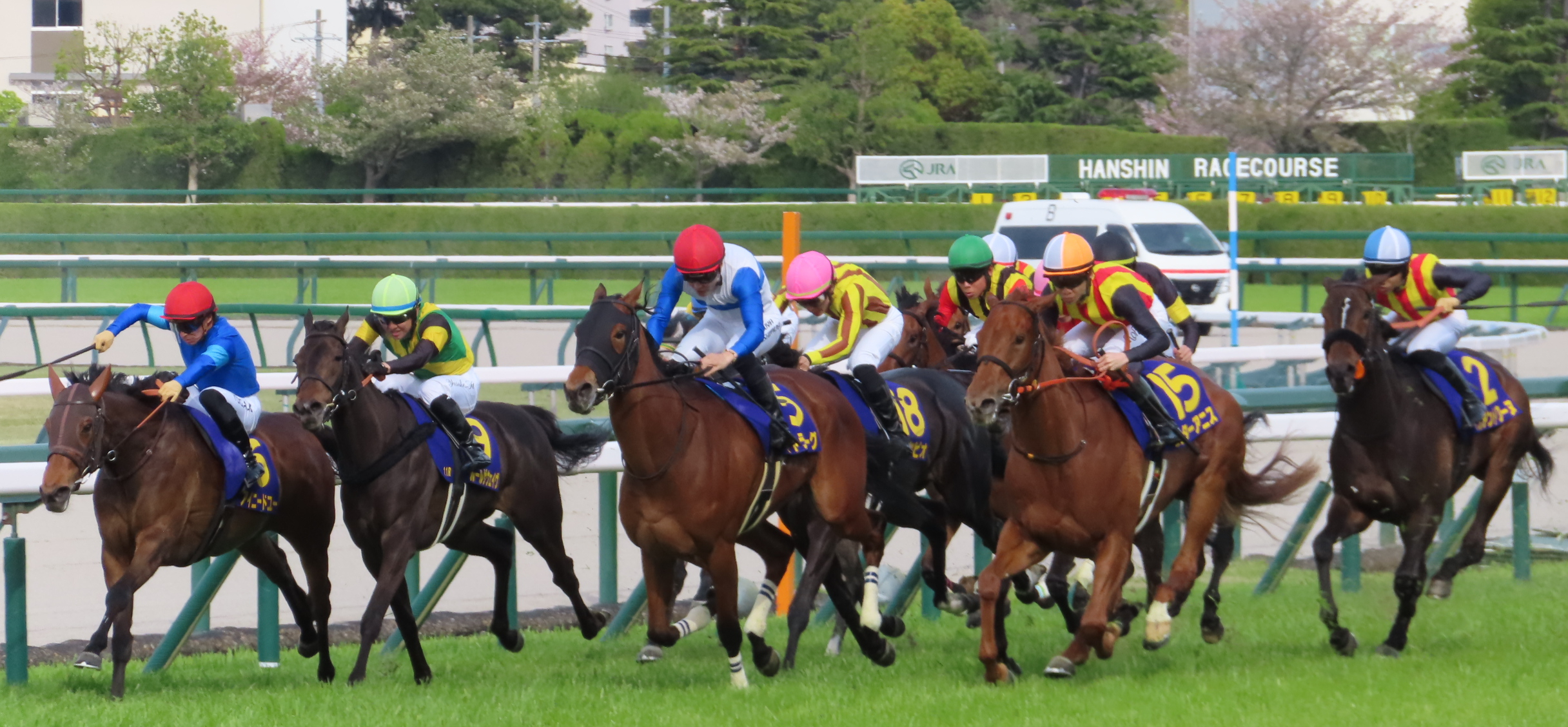 2026年に阪神競馬場で撮影された桜花賞のレース風景