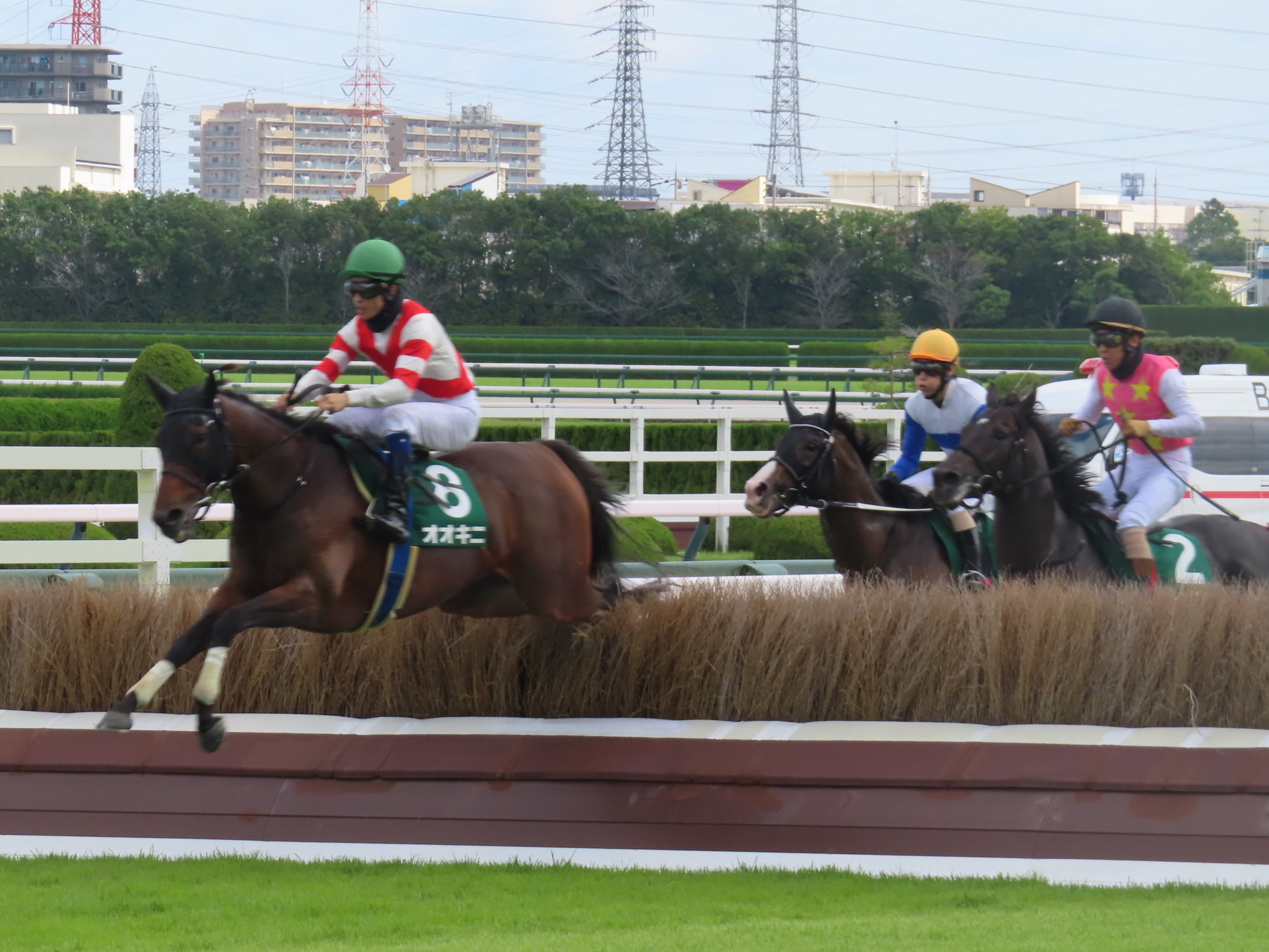 2026年に阪神競馬場で撮影された阪神ジャンプステークスの優勝馬